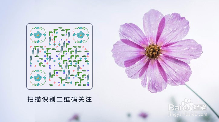 你必须知道的艺术二维码制作教程！