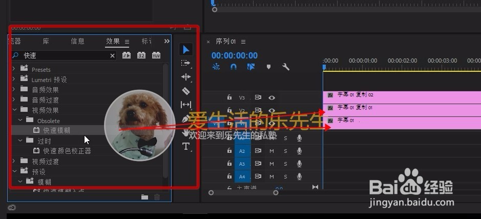 pr制作闪烁霓虹灯字\外发光文字特效