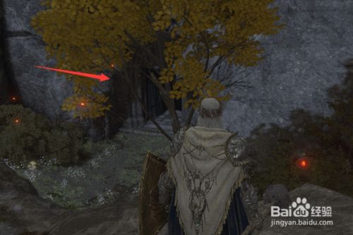 b666b2530688912c0768815f1b4800fc76f79739.jpg?x-bce-process=image%2Fresize%2Cm_lfit%2Cw_500%2Climit_1%2Fformat%2Cf_jpg%2Fquality%2Cq_80