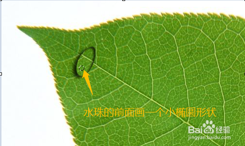 如何用PS制作水珠?