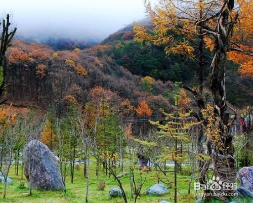 神农架的景区如何游玩