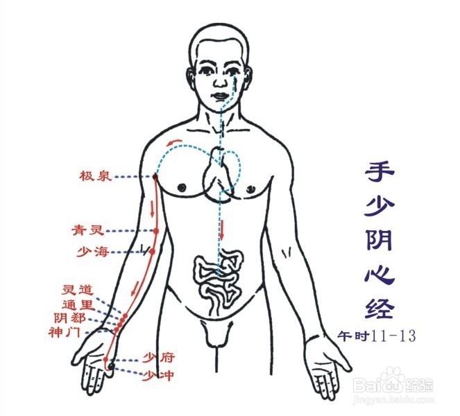 君主之官的有效局部疗法