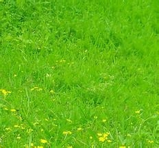 监理施工要点46