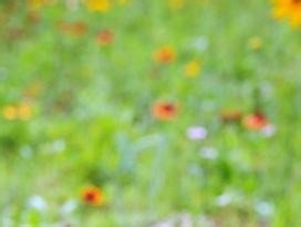 监理施工要点48