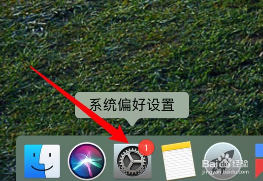 mac电脑怎么启用文件共享功能