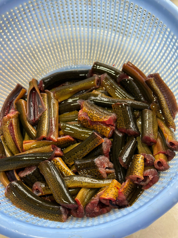 鳝鱼咸菜炖黄瓜