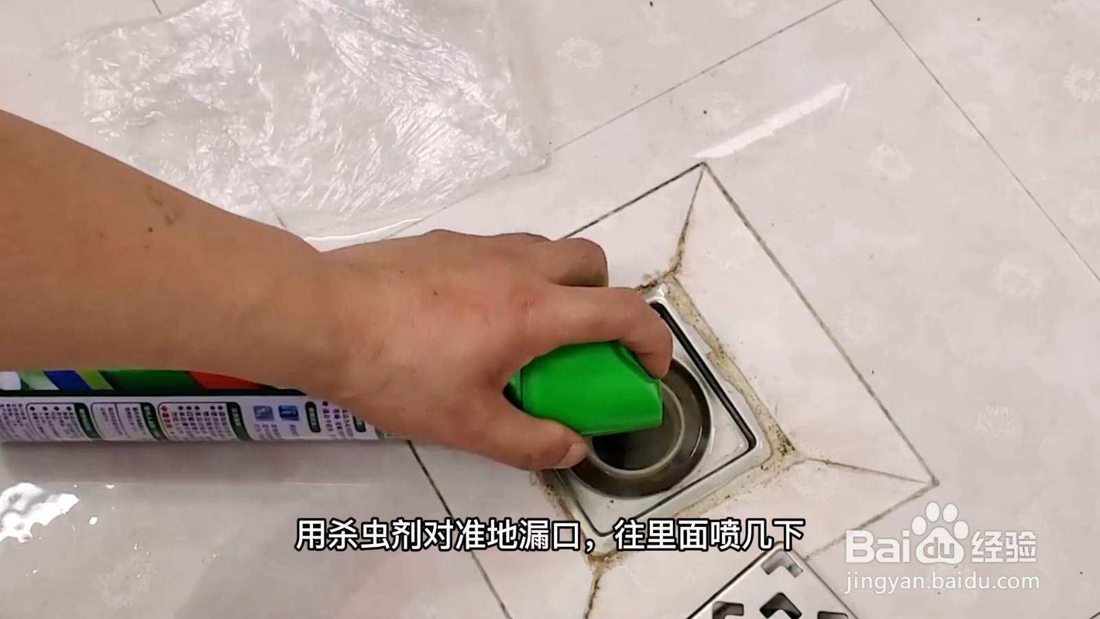 千足虫怎么消灭