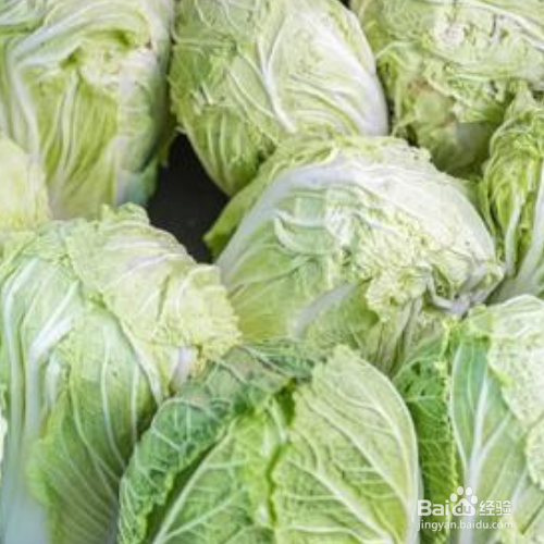 怎样去除白菜上的虫子小妙招