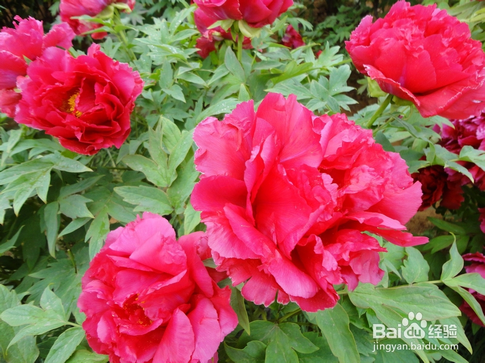 健康养生，快乐之本