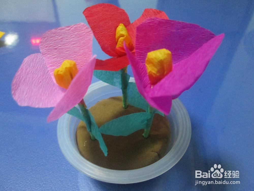 果冻盒子制作漂亮的小盆栽