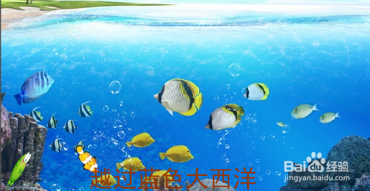 简单用FLASH音乐动画制作