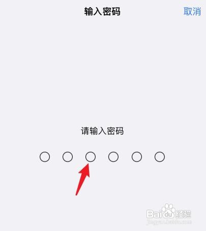 如何设置苹果手机密码