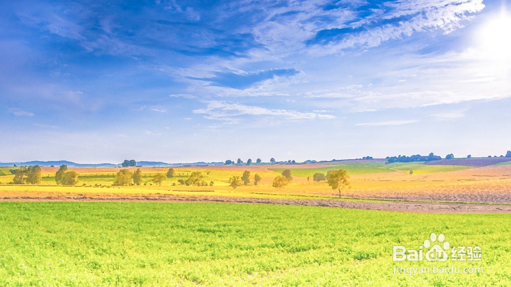 PS油画风格,动漫风格