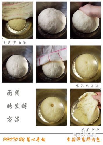香菇洋葱鲜肉包的做法