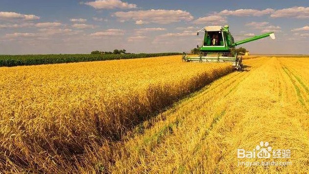 农村土地如何赚钱