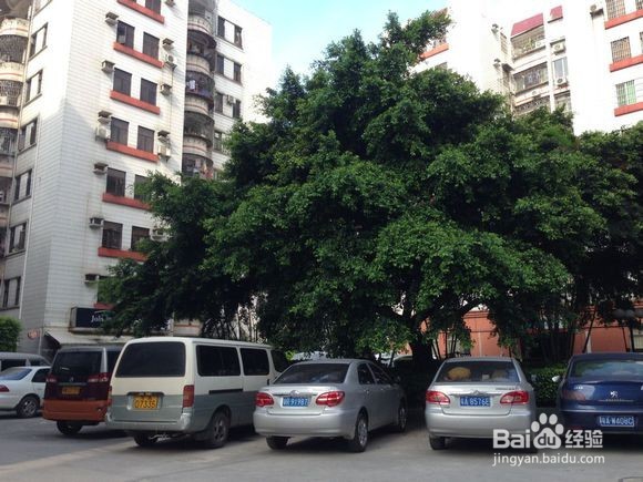 南华工商学院黄埔校区校园图片全攻略