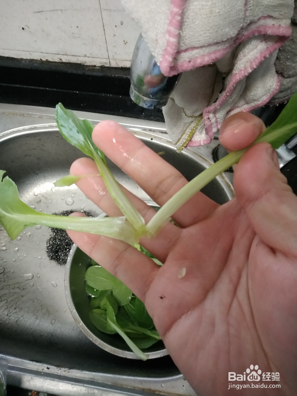 小青菜一手撵开法