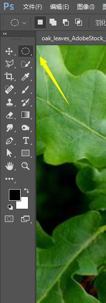 PS小技巧-如何在叶子上制作逼真的水滴