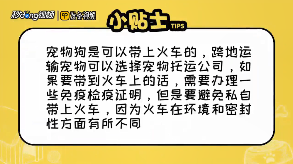 宠物狗可以带上火车吗