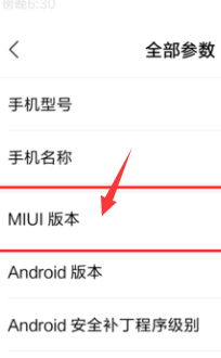 手机开发者选项在哪