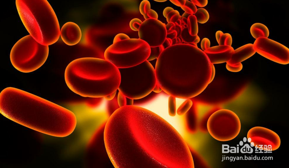 气血不足怎么补,这4种补法真的可行吗?