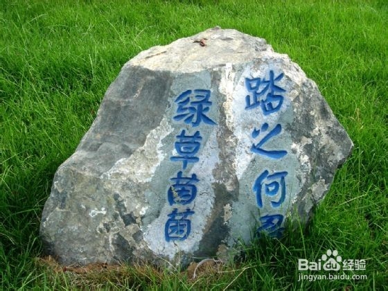 春日郊游注意事项