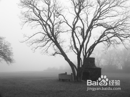 【我爱摄影】人间仙境：雾景拍摄技巧