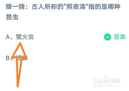 猜一猜:古人所称的“照夜清