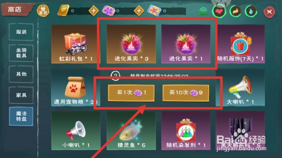 创造与魔法进化果实怎么获取？在哪里弄到？