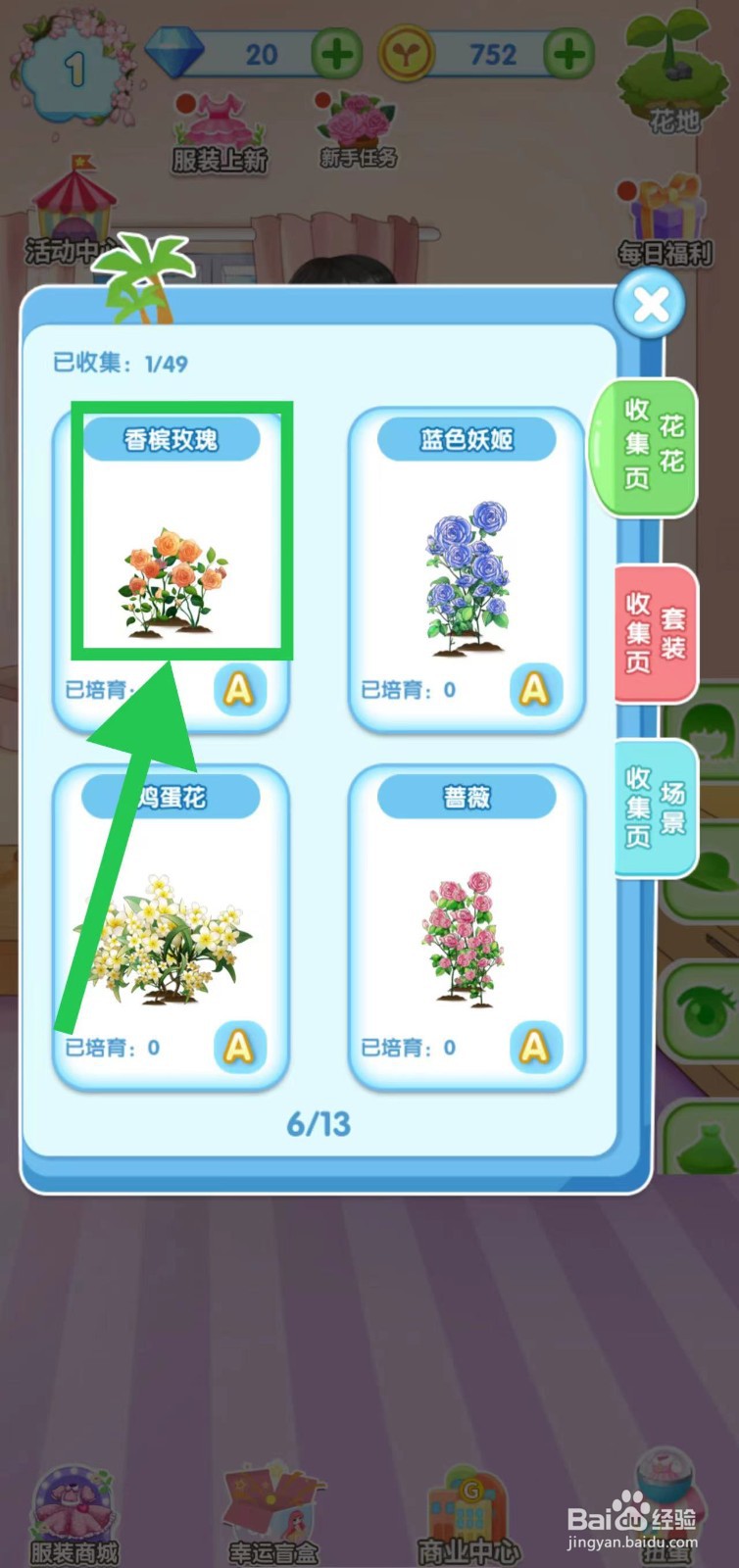 花花姑娘之魔法花园怎么查看香槟玫瑰的简介