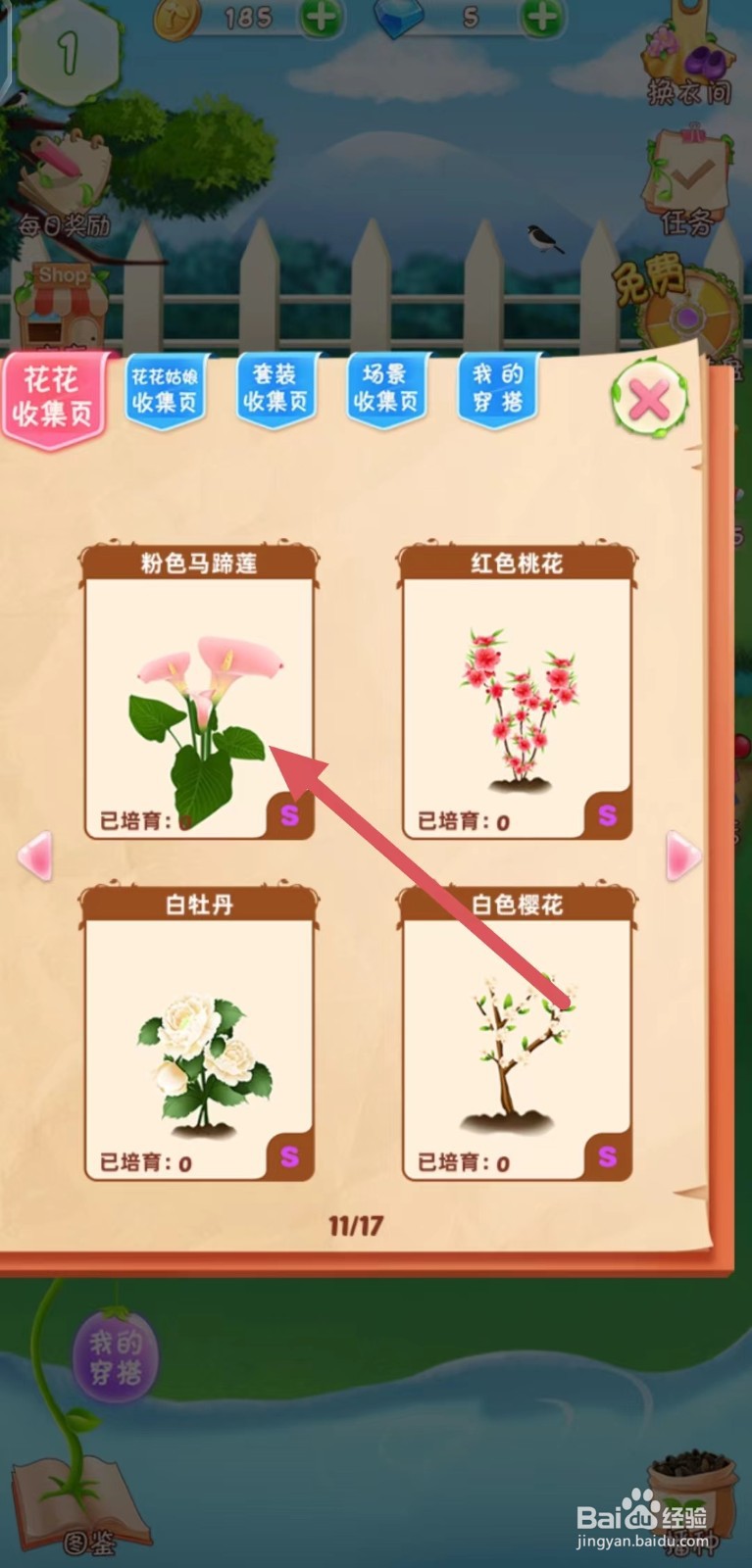 花花姑娘怎么查看粉色马蹄莲的生长速度