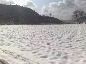 治疗幼儿的起痱子的好办法