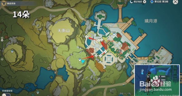 原神霓裳花在哪采集