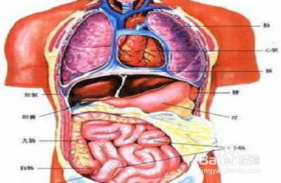 适合春季养生食用的粥：[3]
