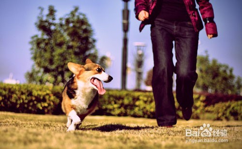 怎么治失眠头晕