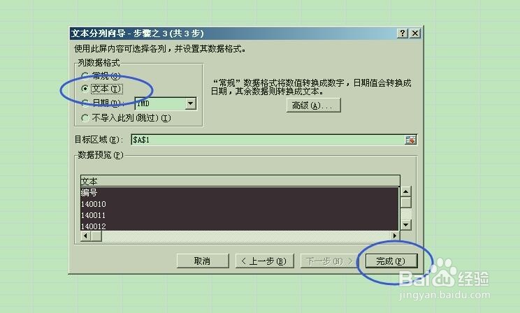 将数字格式转换成文本格式的快捷方式