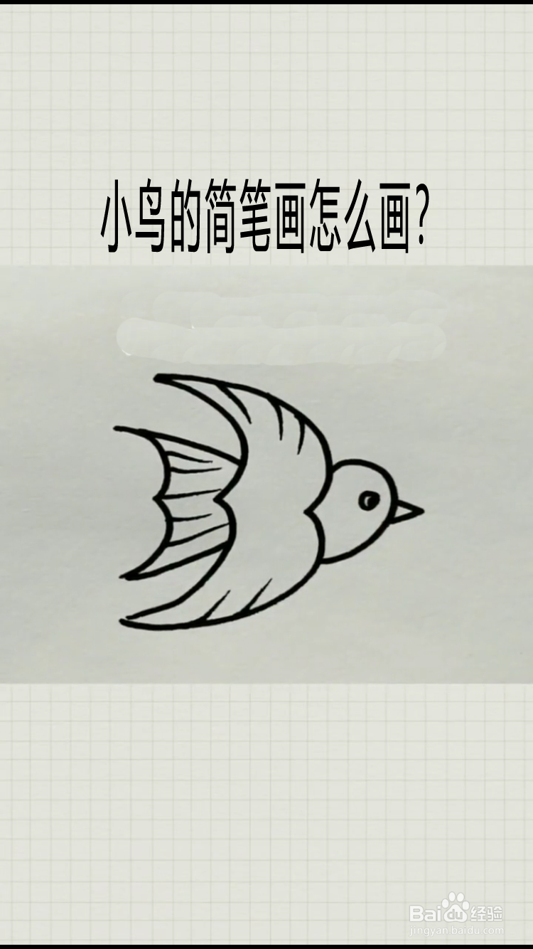 小鸟的简笔画怎么画?