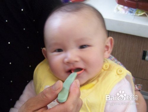 如何给婴儿添加辅食