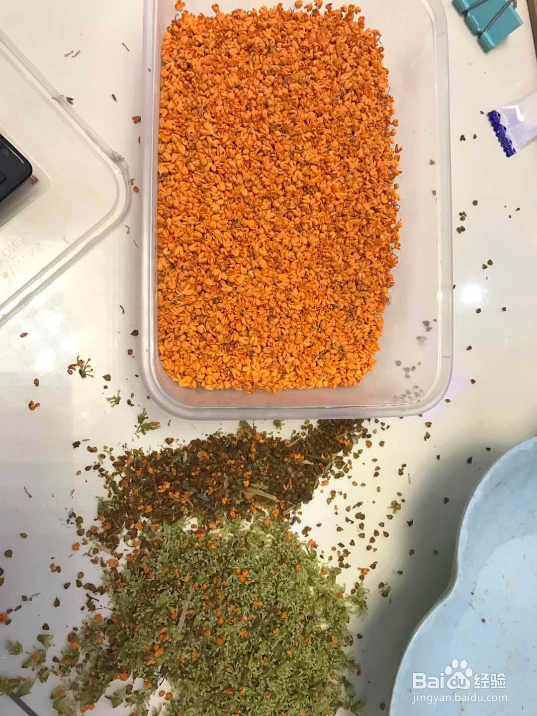 如何制作桂花蜜