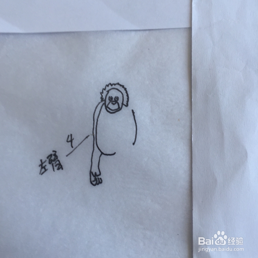 如何画简笔大猩猩