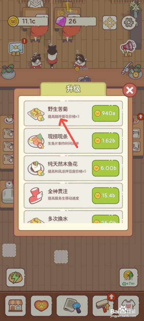 猫咪零食吧如何给厨房采购野生苦菊食材