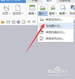 WPS怎么插入在线图片