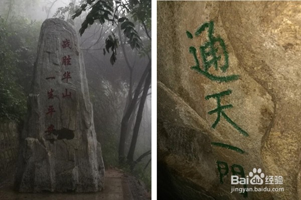 四川广安出发陕西西安（华山）经济四日游