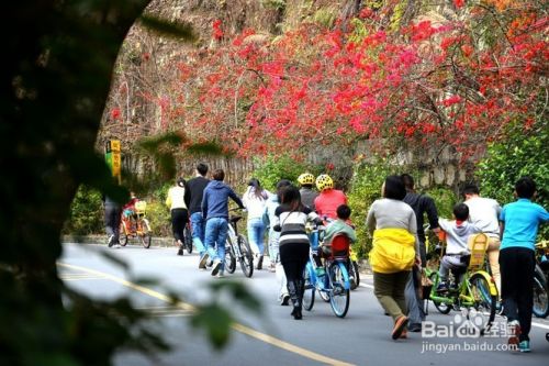 广东惠州红花湖旅游攻略