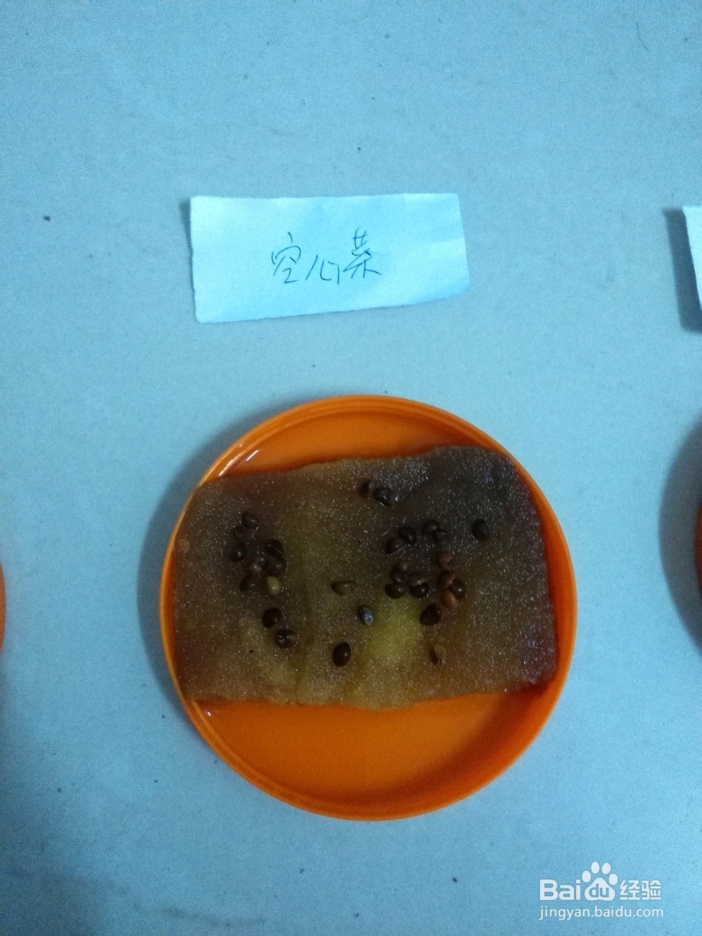 阳台蔬菜出芽经验（鸡毛菜、丝瓜、空心菜）