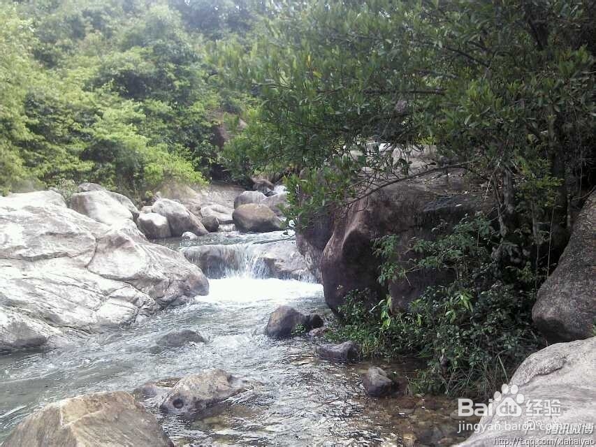 深圳海边杨梅坑山海天然潭农家乐游玩攻略分享