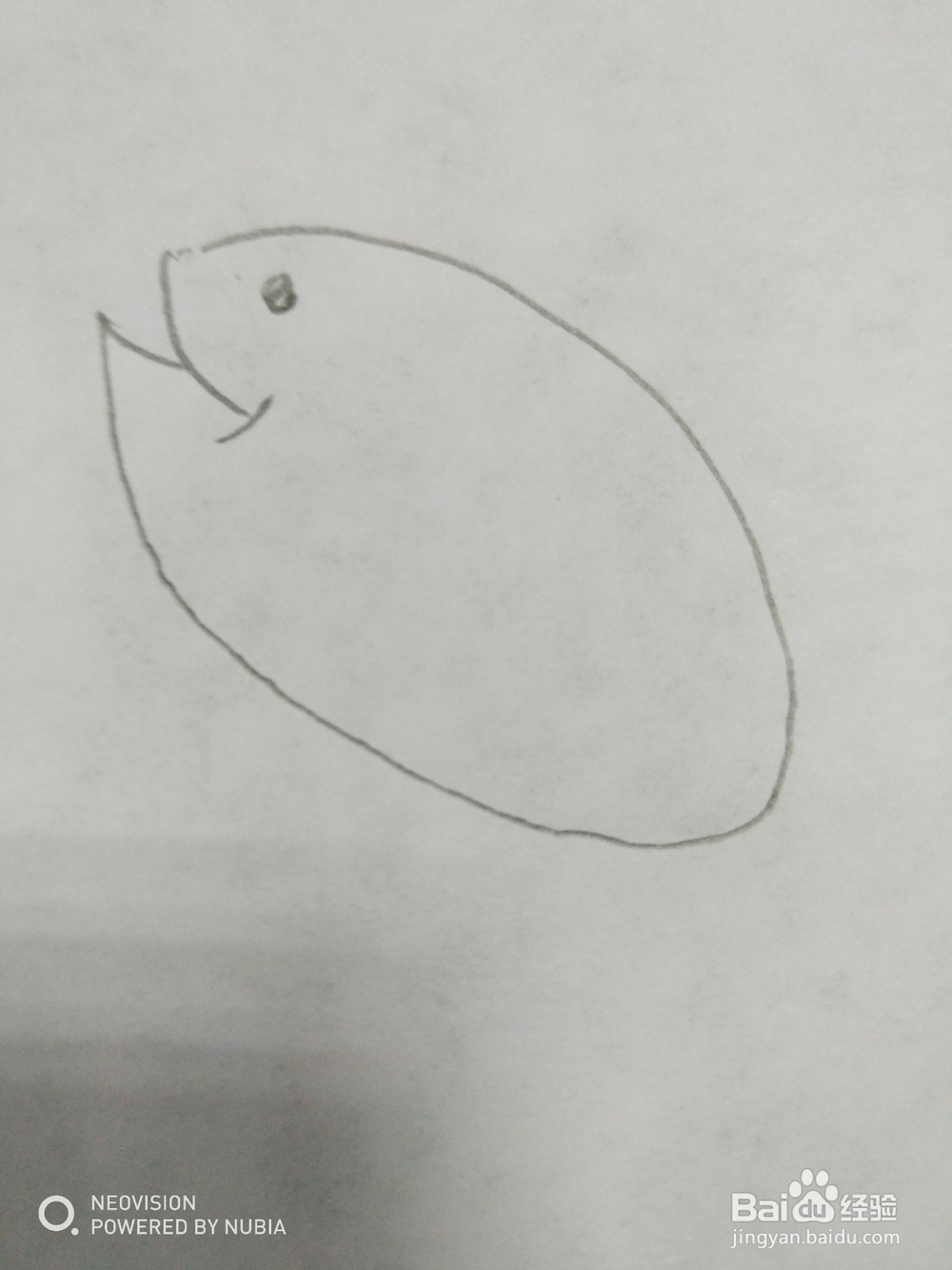 简单的小鱼怎么画（十）