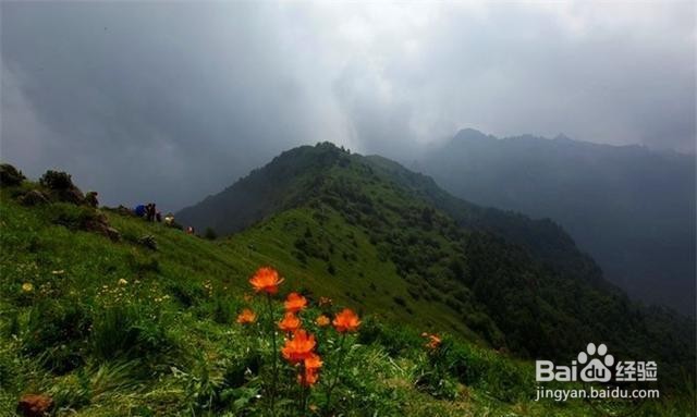 河北灵山风景区旅游怎么样