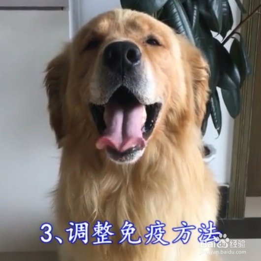 怎样补救失败的疫苗