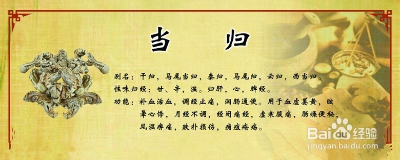 補腎保健效果的13種食物